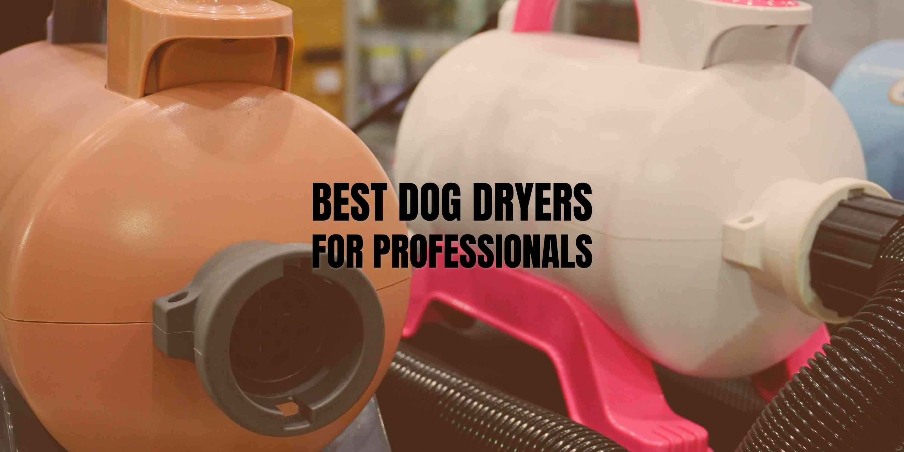 best dog dryers for professional groomers
