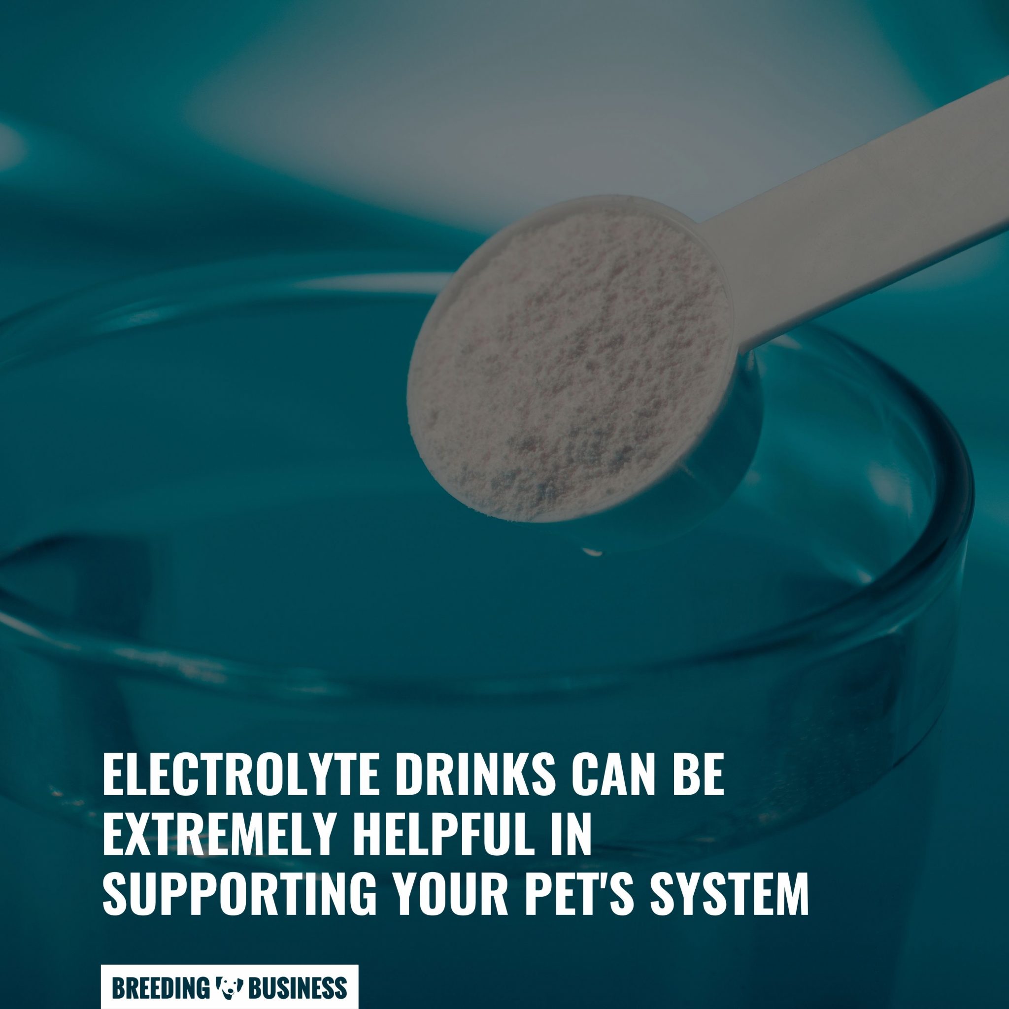 Electrolytes For Dogs – Definition, Disturbance, Imbalance, Recipe & FAQ - Do Dogs Produce Electrolytes After Eating Grass