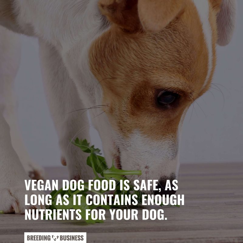 Is vegan dog food enough?