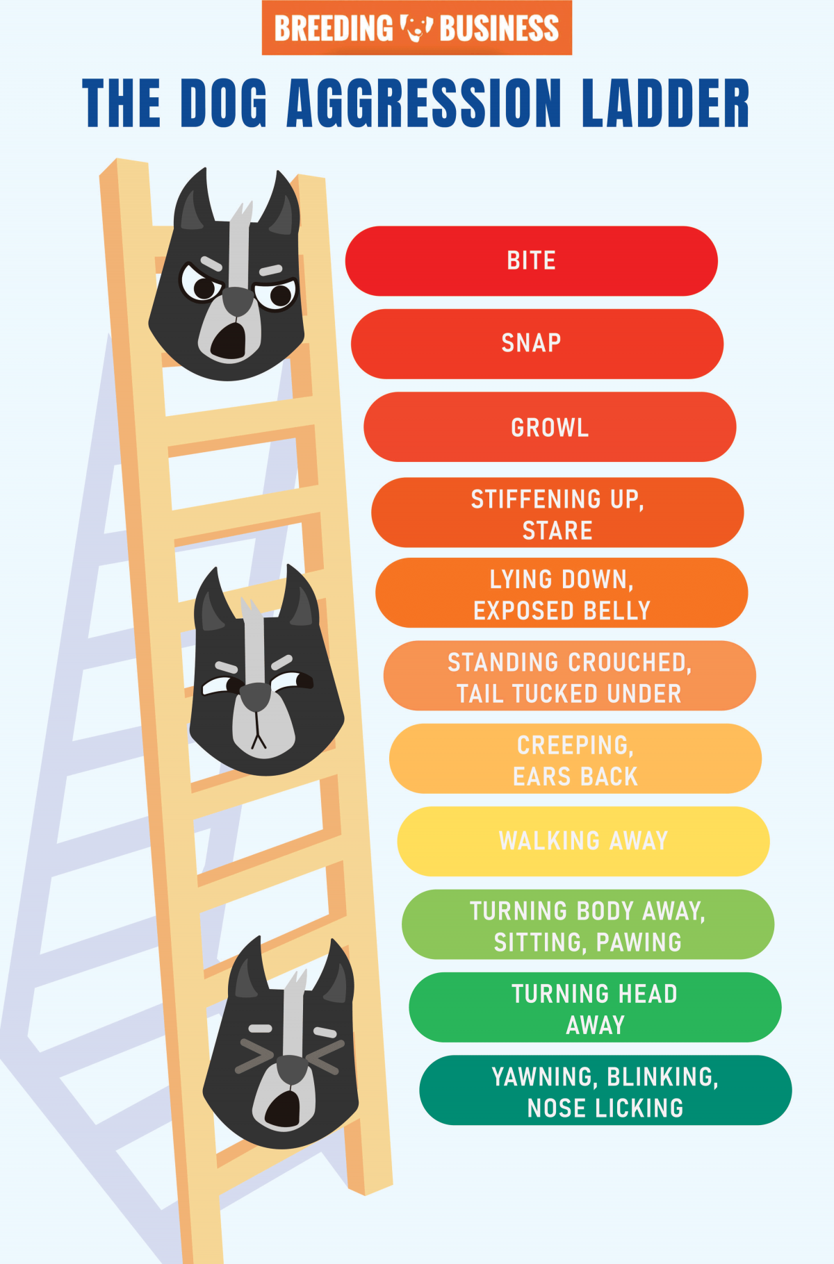 dog ladder of aggression