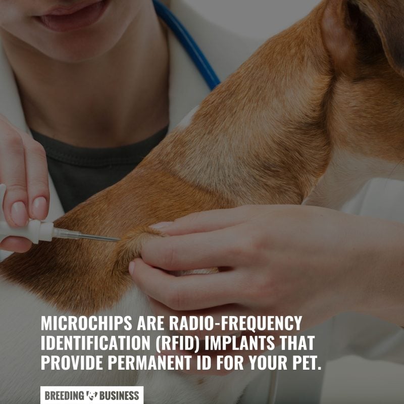 importance of microchips