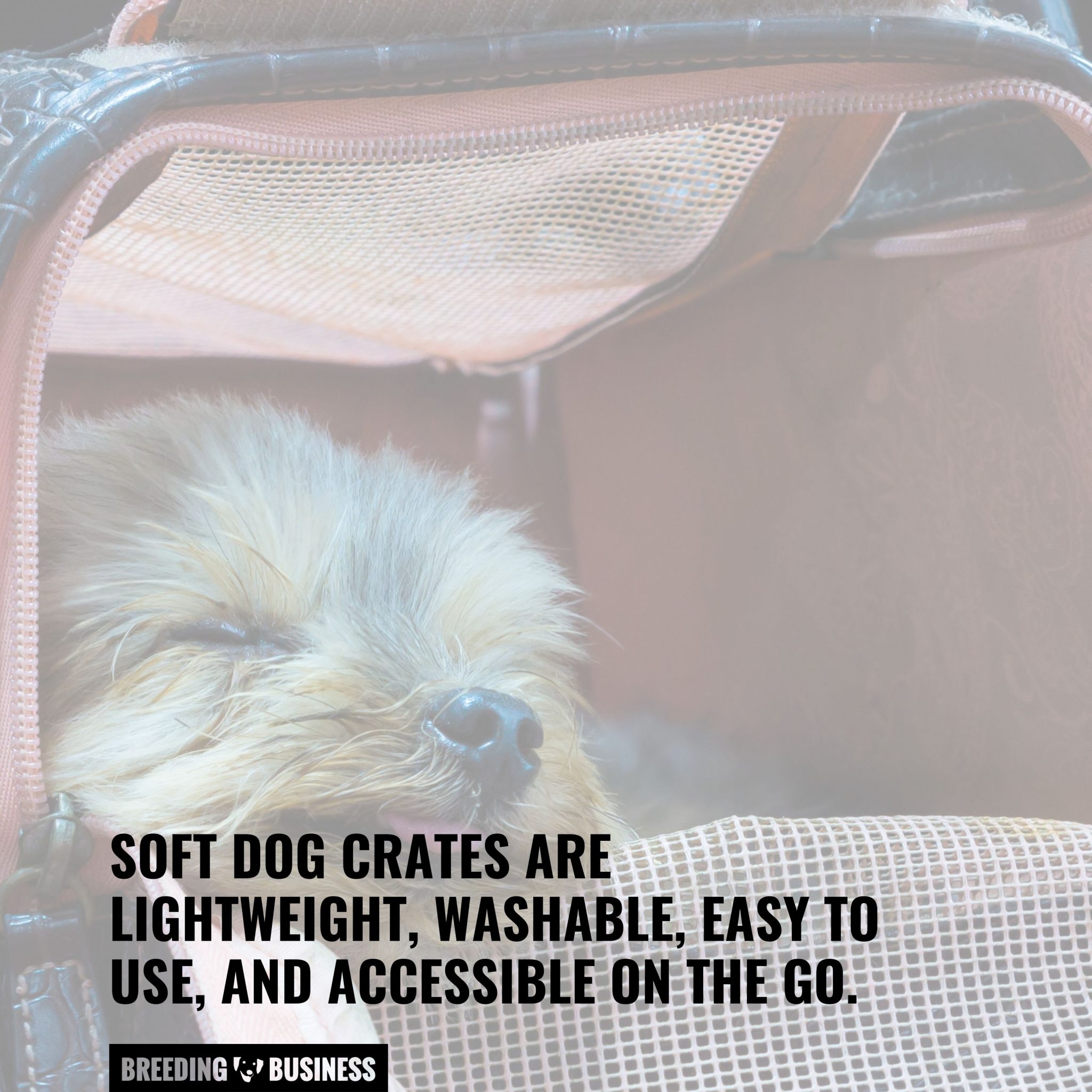 Photo inspiration: Poster Design Soft Dog Crate For Comfort Reference: Are Soft Sided Dog Crates Safe Pros Cons Design Cleaning