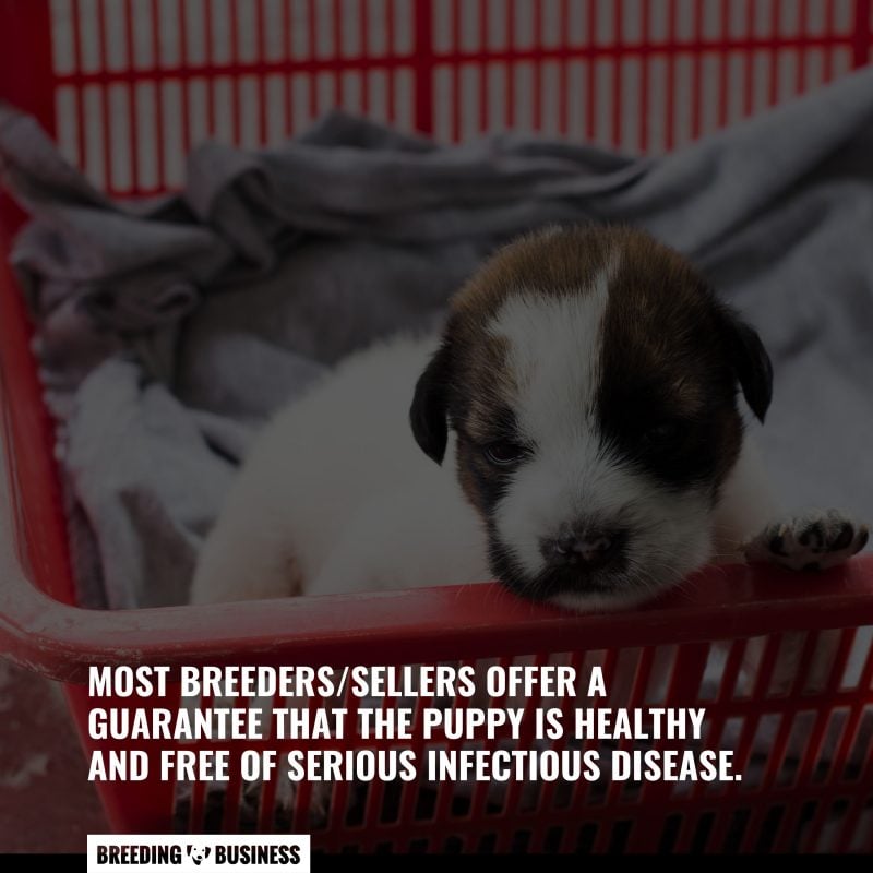 importance of puppy health guarantees