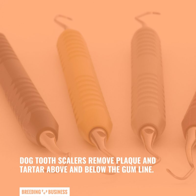 what a dental scaler is