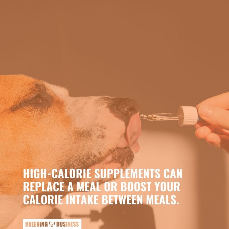 high calorie supplement benefits