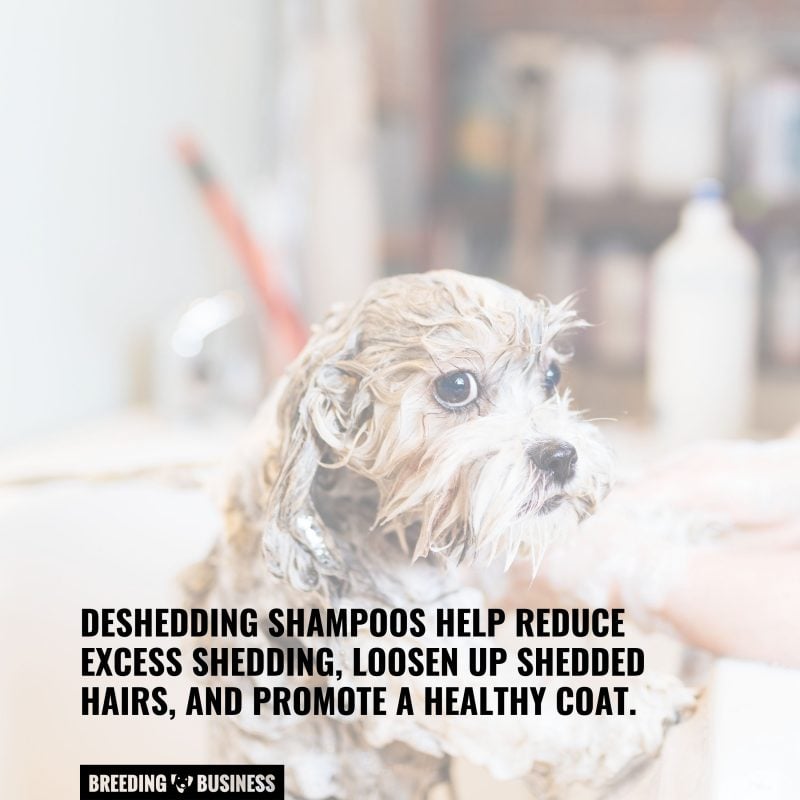 deshedding shampoos for dogs