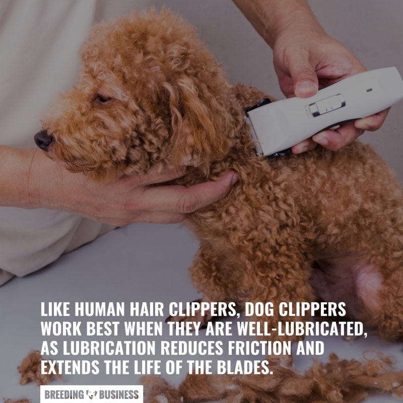 why oiling you dog clippers is important