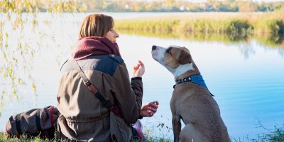 Do Dogs Smell Fear?