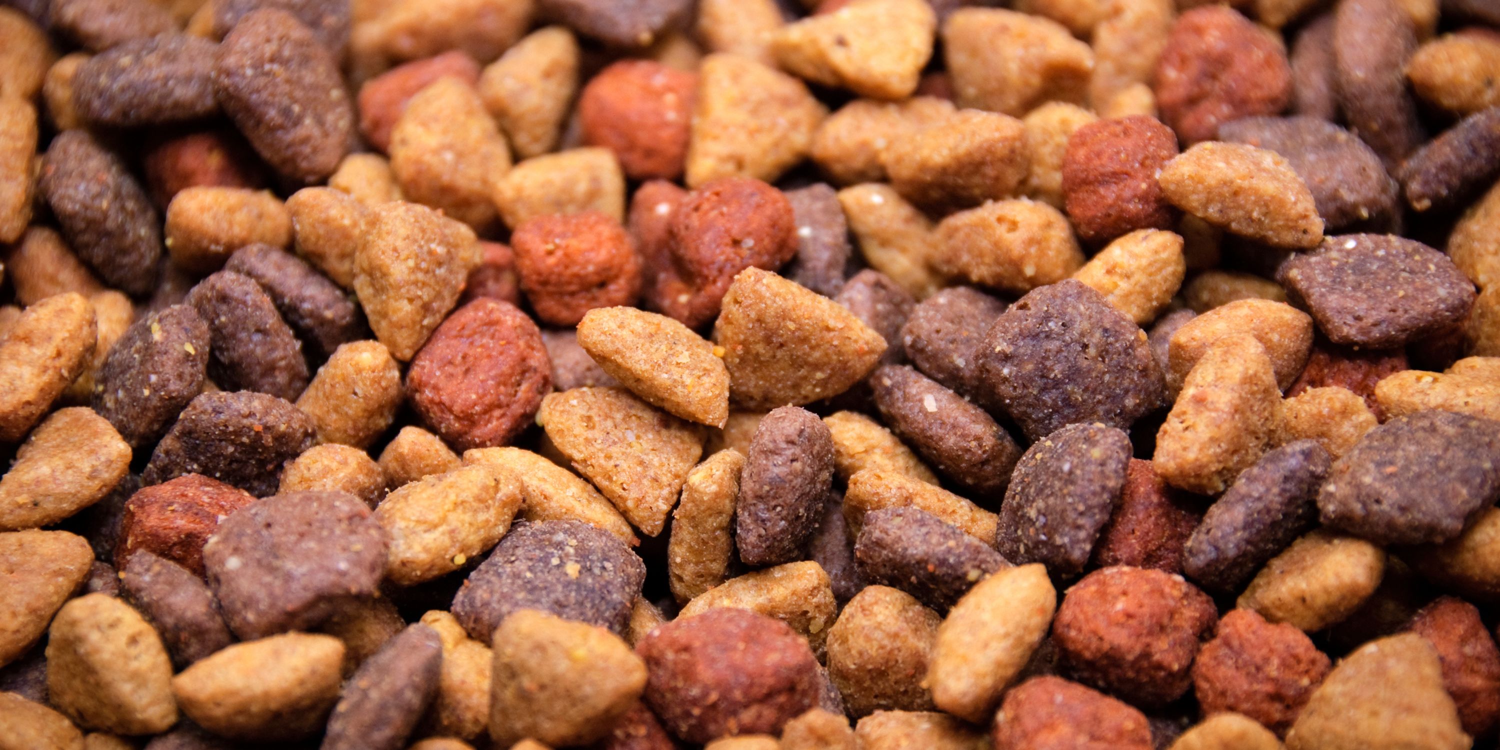 Poodle Dog Food: The Ultimate Guide to Feeding Your Furry Friend ...