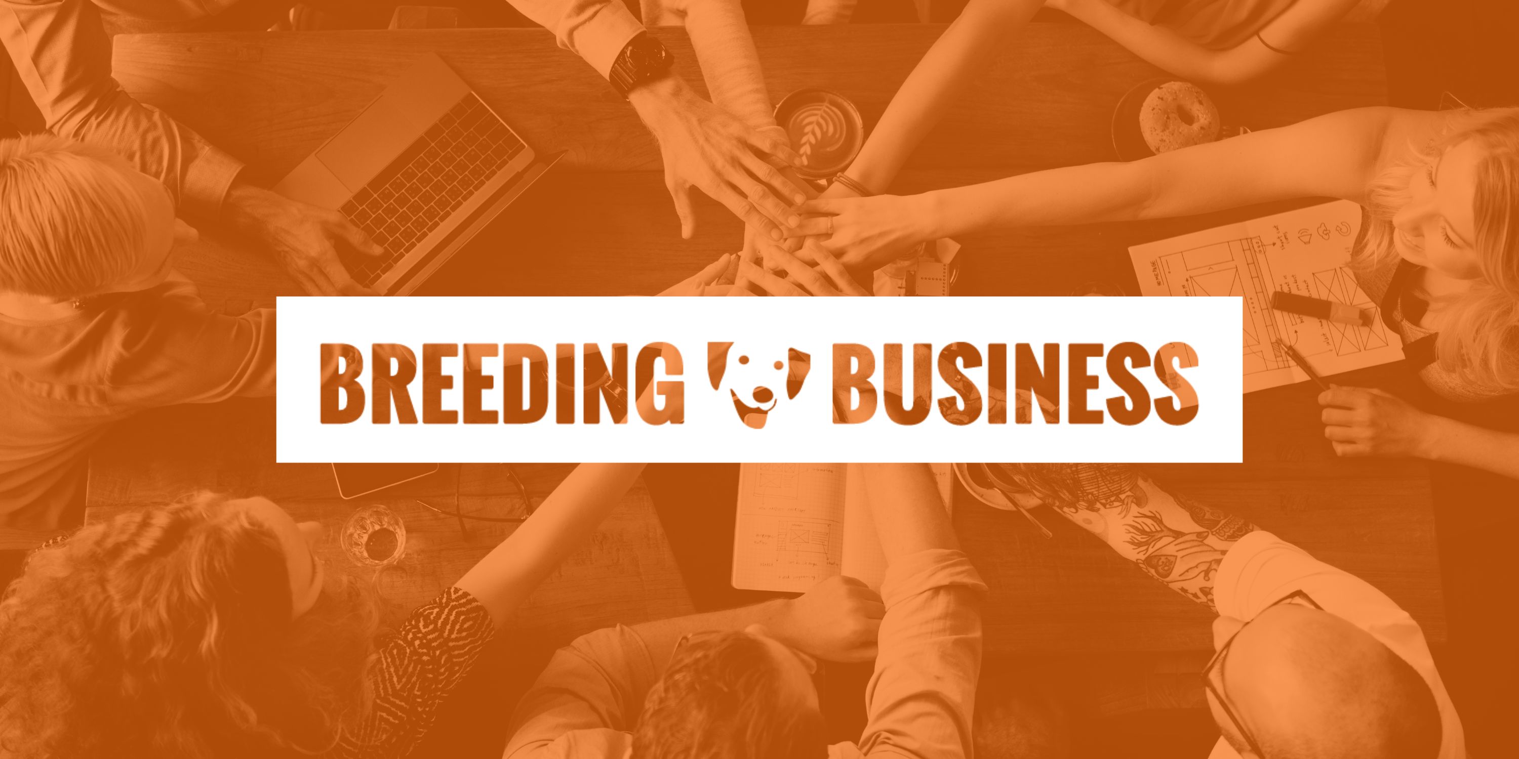 team-at-breeding-business-executives-editorial-dvm